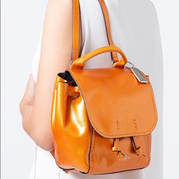 Coach Handbags - 🍊Coach Metallic Derby Backpack NWOT